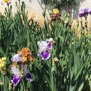 우아농장 이미지