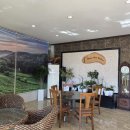 보성중고등학교 | 광주 근교 mt 펜션