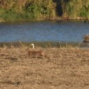 관광단지로 이미지