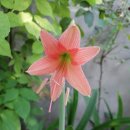 원종농장 이미지