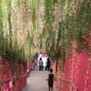 석화동굴 농장 이미지