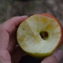 영월여인숙 이미지