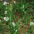 신영농장2 이미지