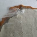 테크노폴리스세탁 이미지