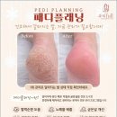 뷰티Full뷰티