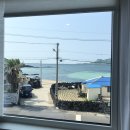마미호시 | [제주여행] 금능해변 제주독채펜션 마미호시