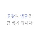 바르다펫 이미지