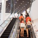 트렌드세터 이미지