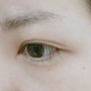 역삼역 근처에서 속눈썹펌하기!! 만족만족 :: 코멜리래쉬
