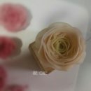 리레케이크