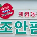 조안농장 이미지