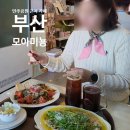 모아미뇽
