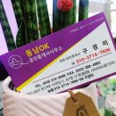 동남OK공인중개사사무소 이미지
