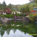 서대산드림리조트 이미지