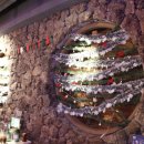 유정상회 이미지