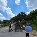 금산수삼센타47호 - 14641 | [금산 가볼만한 곳] 월영산 출렁다리, 초1 아이와 다녀온 금산 최고의 전망 명소!
