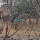 삼덕공원 앞-2 이미지