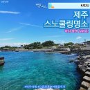 위미2리 | 제주 숨은 스노쿨링 명소 인스타감성 스팟 태웃개