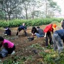 안성시시설관리공단 노동조합 이미지