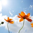 경상농장 이미지