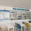 영농조합법인해금강동백보존회 이미지