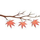 코코유치원 이미지