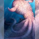 CW-2112-01 이미지