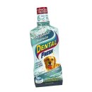 럭키덴탈 이미지