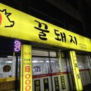 원대꿀돼지