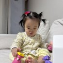 골담길 | 우리애기를 위한(이라고 쓰고 엄마가 갖고싶던) 코코지 구매, 코코지병 완치후기