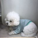 원평노블레스(A동) | 고잔동 네일샵 네일스테디 네일아트 받은후기