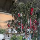 선바위역 | 선바위역 케이원카페 브런치 후기 + 인덕원 동편마을 볼라레 카페 (협찬x)