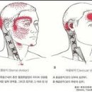 수원세븐