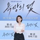 장서희 카카오 검색결과