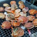 CU 진도대교점 | [진도 여행 코스] 2박 3일 코스 추천, 음식점/카페 리뷰 및 정리 (가볼만한 곳)