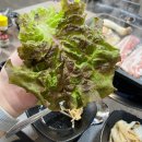 창원현동LH아파트경로당 | [마산 현동 맛집] 친구랑 술 한잔하기 좋은 옥돼지구이, 솔직후기 주차 메뉴 가격