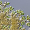 리오&코 이미지