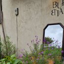 계림로(남) 이미지