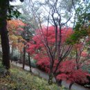 죽도봉공원 이미지