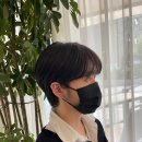 더헤어뷰떼