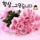 건강하세요