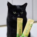 종합 | 성분 좋은 츄르 냥쌤 88스틱 종합 후기 고양이간식추천