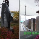 은진손칼국수 네이버블로그