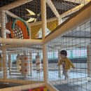 다둥이카 서비스 이미지