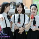 프리츠