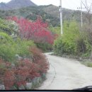 파로스펜션 이미지