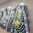 누리한방병원 이미지