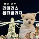 팬더애견샵 | 겨울 여수 애견동반 여행 라테라스 윈터빌리지 예약 어트랙션 포토존