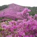 금록식육식당 이미지