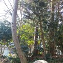 새벽농장 이미지